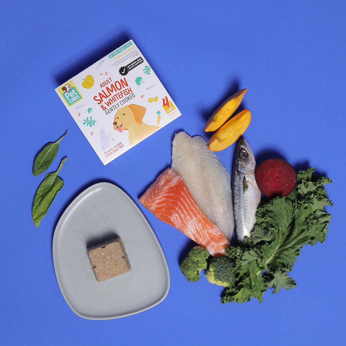 Salmon - Gently Cooked For Adult Dog