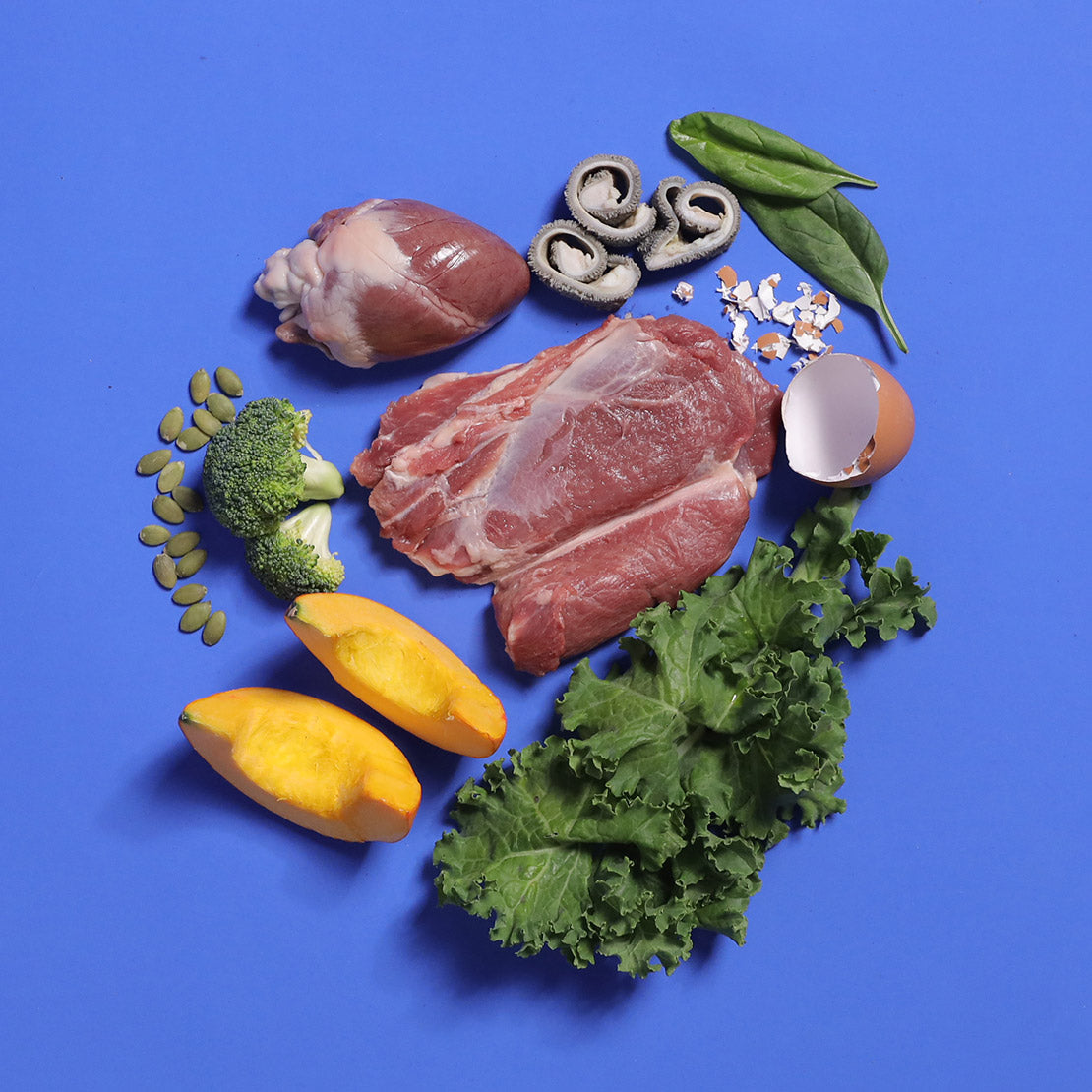 Lamb - Gently Cooked For Adult Dog