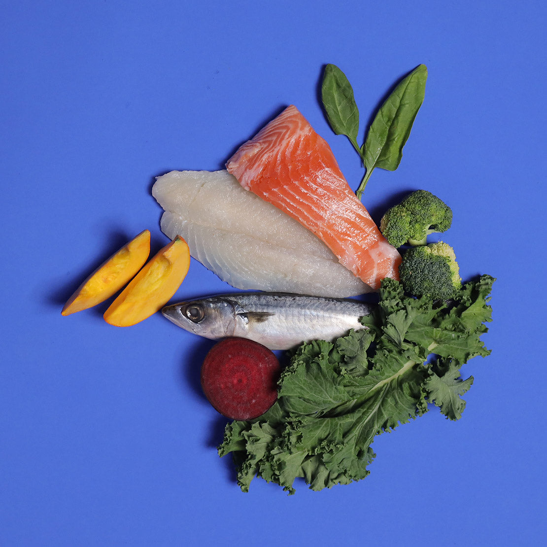 Salmon - Gently Cooked For Adult Dog