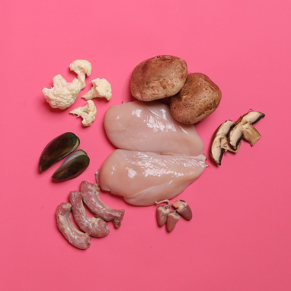 Chicken - Gently Cooked For Adult Cat