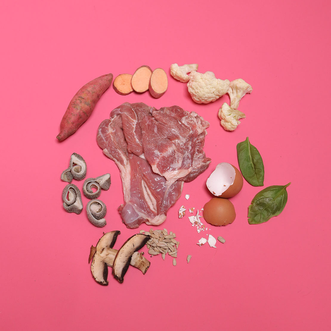 Lamb - Gently Cooked For Adult Cat