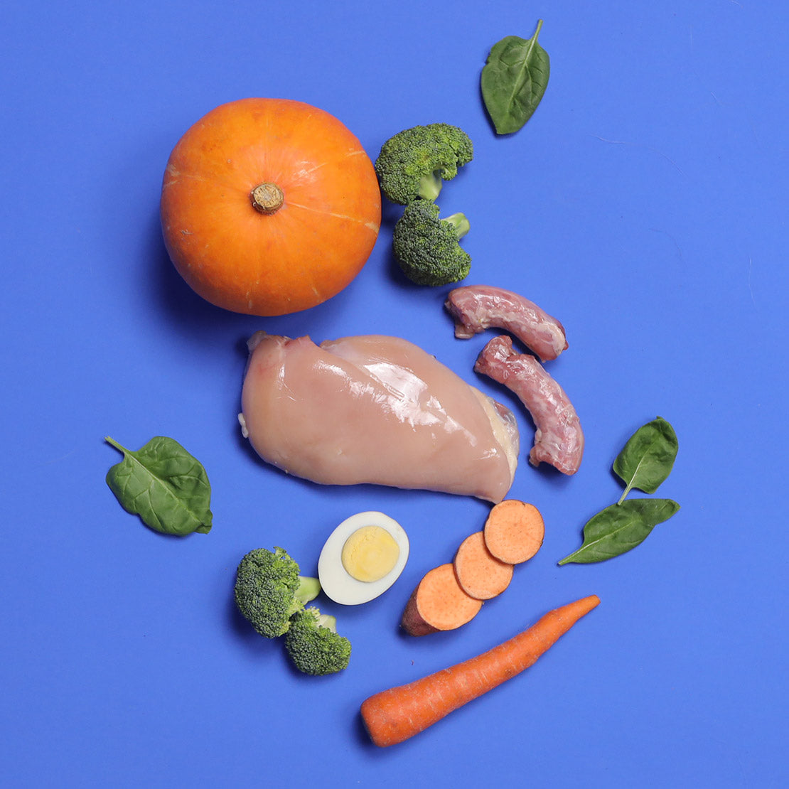 Chicken - Gently Cooked For Adult Dog