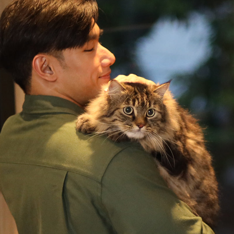 Grid Banner image_Mt4b9i