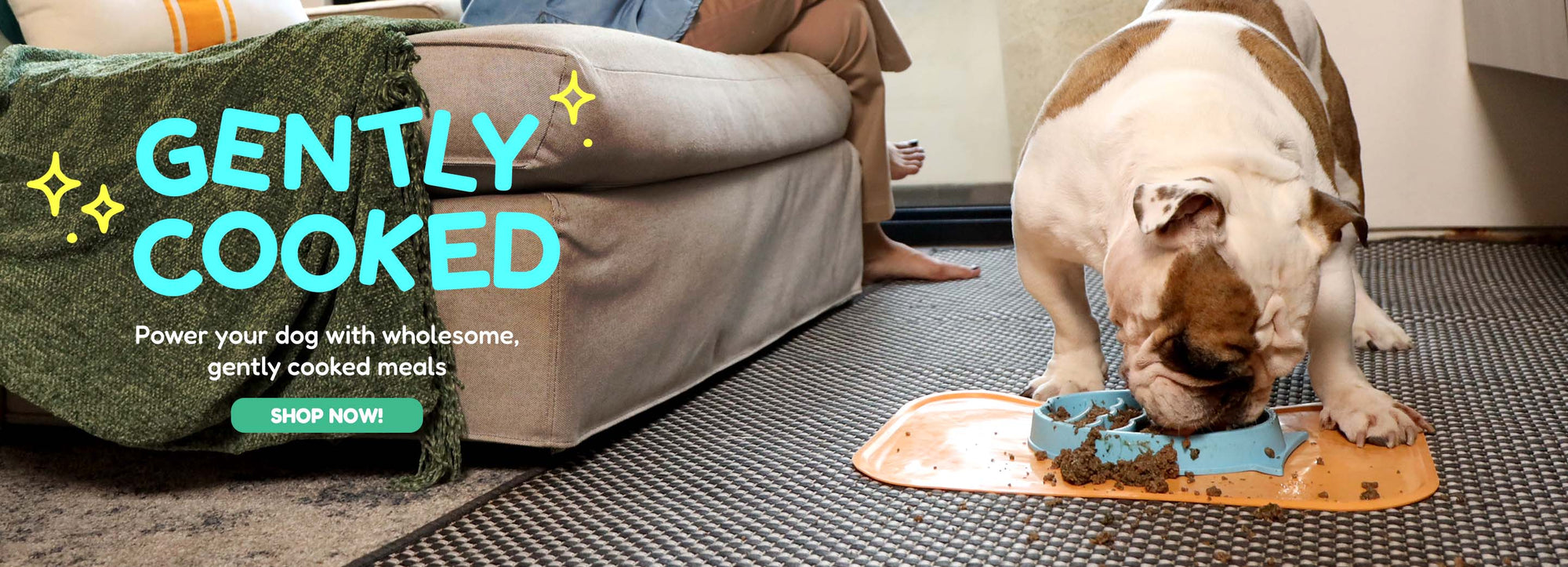 Hero Banner V2 Image 3