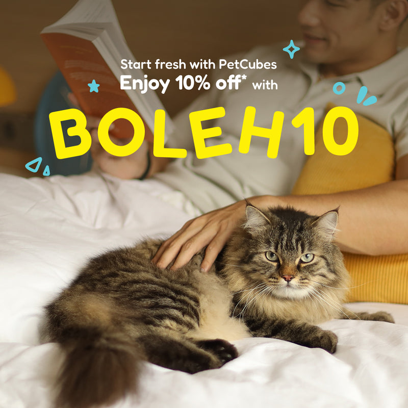 Hero Banner V2 Image 1