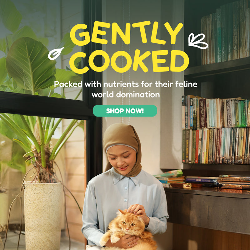 Hero Banner V2 Image 2