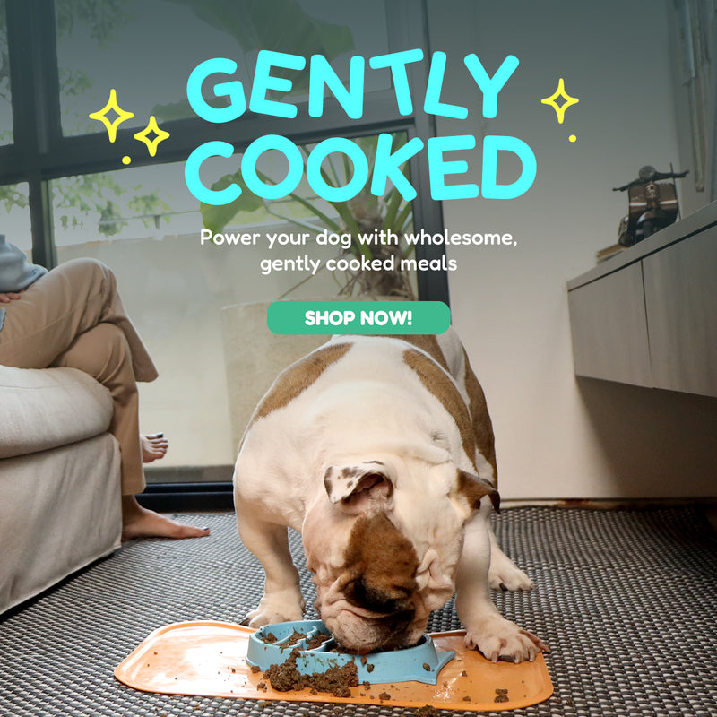 Hero Banner V2 Image 3